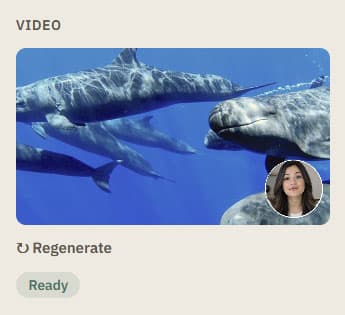 Video panel after generation, showing the finished clip thumbnail, a Regenerate link, and a Ready badge