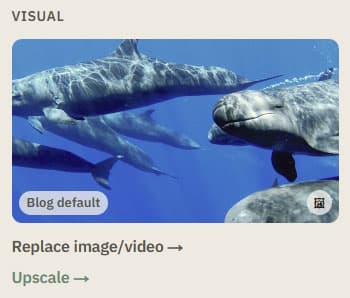 Visual panel showing the blog's default image, with Replace image/video and Upscale links