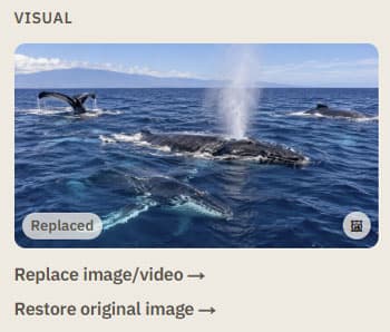 Visual panel showing a replaced image, with Replace image/video and Restore original image links