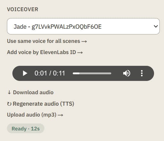 Voiceover panel with a voice selected, audio generated, and playback controls shown